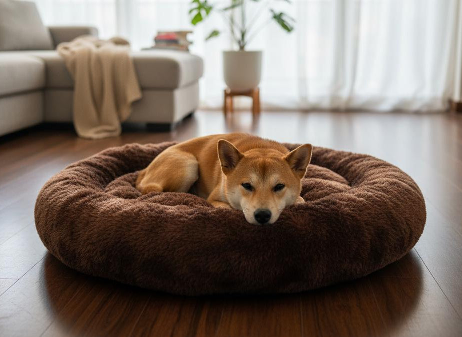 🐾 Sirhaana Pet Bed Soft. Supportive. Comfortable, Styled for Your Home.
