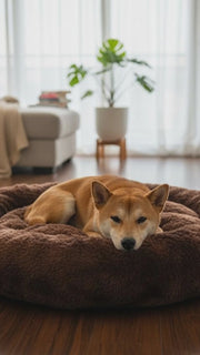 🐾 Sirhaana Pet Bed Soft. Supportive. Comfortable, Styled for Your Home.